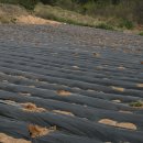 수호일농장 이미지