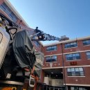 동림초교 이미지