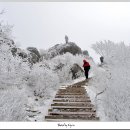 (주)겨울 이미지
