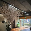 부평 회뜨는수산 이미지