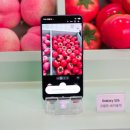 성동농장 | 성수 팝업스토어 성수놀거리 추천 T 팩토리 SKT S26 마켓 후기