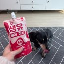 잘크라농장 | 강아지우유 뭐가 좋을까? 마이베프 생유베리마치 급여해본 후기
