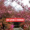 남미륵사안내소 이미지