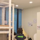전주초포초등학교 | 전주 송천동 에코시티 리카키즈룸 무인대관키즈카페