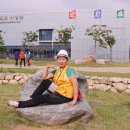 탑고향 이미지