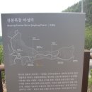 비산비야 티스토리