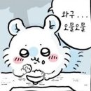 반들반들 이미지