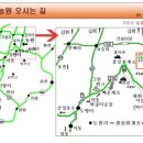 몬로코리아 이미지