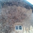 가창 누리길 이미지