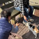 구름위의고양이 | 단양카페 구름위의산책, 고양이천국 패러글라이딩 뷰맛집