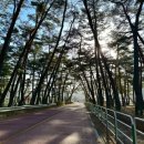 CU상주화북점 이미지