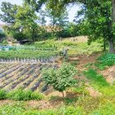 안산김씨 사재감정공파묘역 이미지