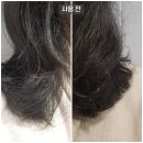 유명헤어팩 &lt;피노 프리미엄 터치 헤어 마스크&gt; VS &lt;츠바키 프리미엄 EX 리페어 마스크&gt; 한 통 다 쓴 후기