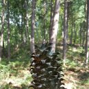 숲뒤농장 이미지