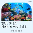 서울해양수족관 | 서울 강남# 아기랑 수족관 씨라이프 코엑스 아쿠아리움, 인어공주 공연, 먹거리, 주말