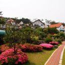 하이디민박 이미지