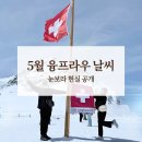 [여행 후기] 5월 융프라우 날씨 후기 (눈보라 현실 / 클라이네샤이덱 풍경)