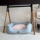 소다펫 | 강아지 꿀밤템 방석 추천 펫테일 퐁슈 크림 울타리형 쿠션 L 소다크림 후기 🐩🐾