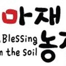 아마도특별한 이미지