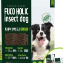 도그홀릭 이미지