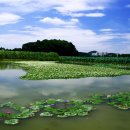 성원.동아아파트 이미지