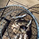 의평낚시터 이미지