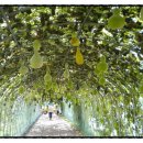 죽산면사무소 주차장 이미지