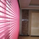 수림환경 - 955 | 수림환경