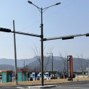 월명실내수영장 | 32. 경주 온수풀에서 카피바라되
