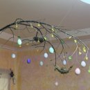 나무와꿈어린이집 이미지