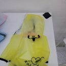 견식도락 거제시청점 | [거제 애견용품샵] "견식도락 거제시청점" 솔직 후기