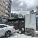 혼밥 하기 딱 좋은 기사식당 역삼 스낵카