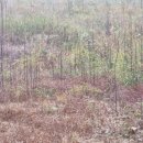 비내섬화장실 이미지