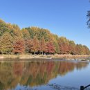 영상강문화공원 이미지