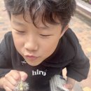 EAC야외전시 잇-다 이미지