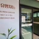 지유명차서귀