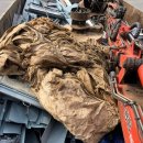 김유정로 L 이미지