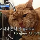 뽕짜 이미지