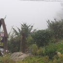 솔내음과 물소리 이미지