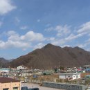 신동3리 Daum카페