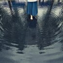 호텔캘리포니아 이미지