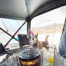 레오랜드 이미지