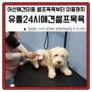 유폴 24시 애견셀프목욕 아산탕정점 | 아산애견미용 유폴24시애견셀프목욕 셀프목욕부터 미용까지