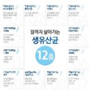 하나궁 이미지