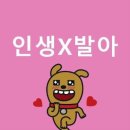 뭐라꼬 | 2026.05.24 위시 공팬