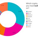 데이터 “미국 개인투자자, BTC 보다 ADA에 더 긍정적” 이미지