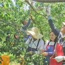 주식회사 감동정비 이미지