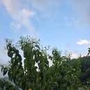 바람에정원 민박 이미지