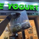 그릭하다 강서발산점 이미지