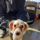 봉곡남로 이미지